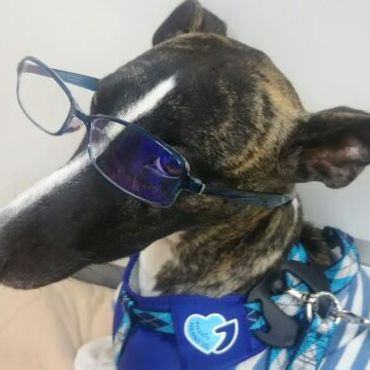 時々インテリにもなります。（だて眼鏡で）