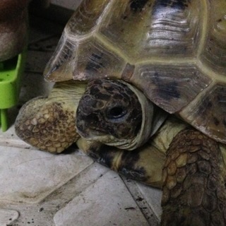 沢山の御応募ありがとうございました