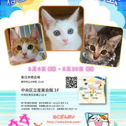 ねこざんまい譲渡会in東日本橋