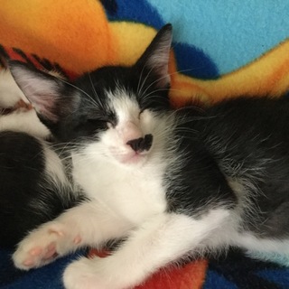 ありがとうございました