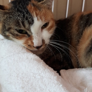 気の小さな美空ちゃん