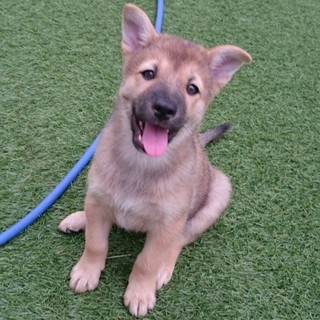 ☆鼻黒の可愛い女の子☆