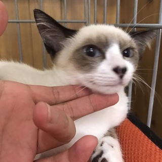 募集一時停止にさせて頂きますm(__)m