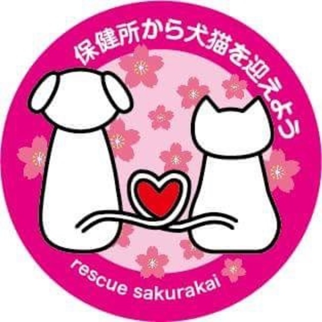 さくら会のカバー写真