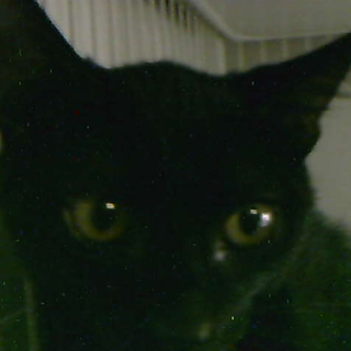 結婚しました！沢山のご応募ありがとうございました。