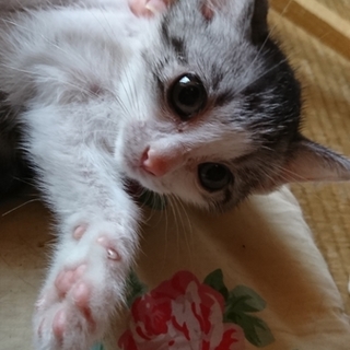 元気いっぱいな女の子