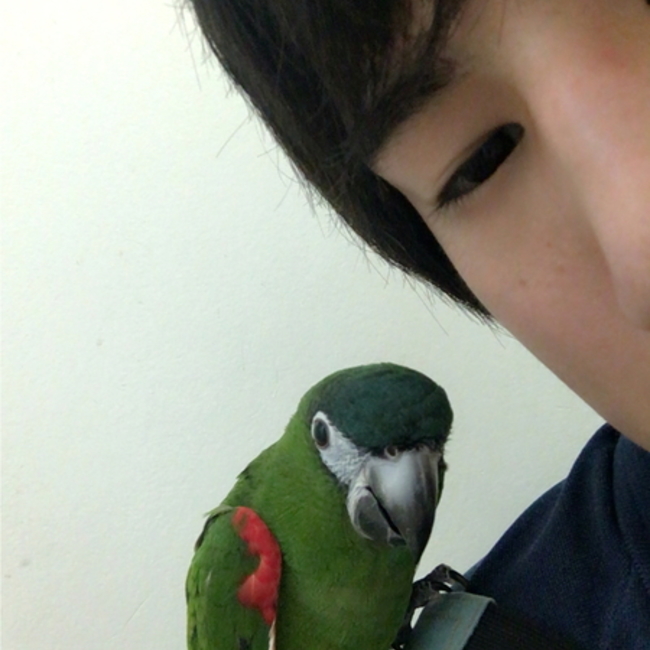 リュウノスケのカバー写真