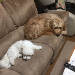 毎晩の恒例行事