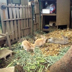 ネザーランドへようこそ♪