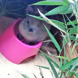 「パパの面影♪」サムネイル2