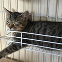 ありがとうございました♪