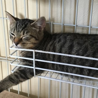 ありがとうございました♪