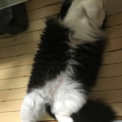 リラックスしすぎでしょ(.› ‹.)՞՞