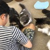 ざき26