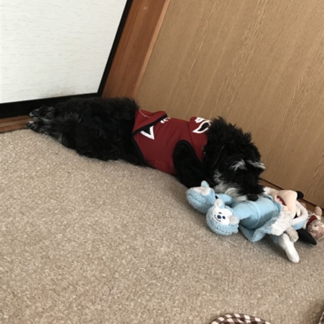 saogaroのカバー写真