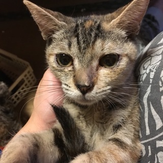 おっとりな女の子☆