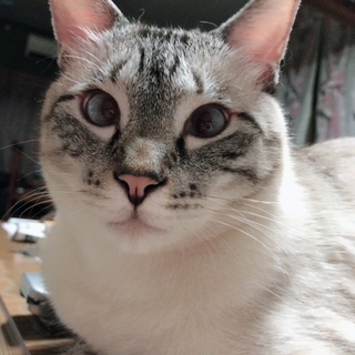 ブルーの瞳のイケメンさん