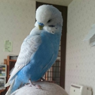 ありがとうございました！