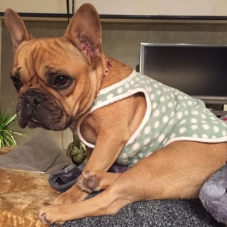 可愛がって頂ける方！里親さん募集します。