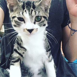 シャーをゆったことがない！おっとり甘えん坊v