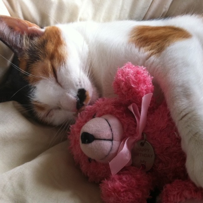 saoのカバー写真