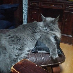 「皆さんもお気を付け下さい」サムネイル1