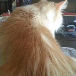 「皆さんもお気を付け下さい」サムネイル2