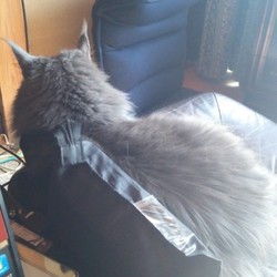 「皆さんもお気を付け下さい」サムネイル3