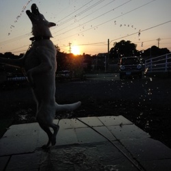 ひとまず。。。