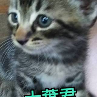 とっても元気な５兄妹　やくみーず