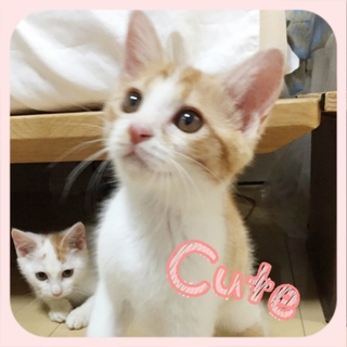 【幸せを掴みました】ありがとうございました。