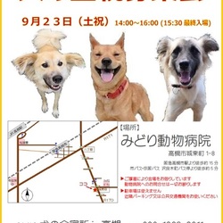 「犬の合宿所in高槻」の里親募集会