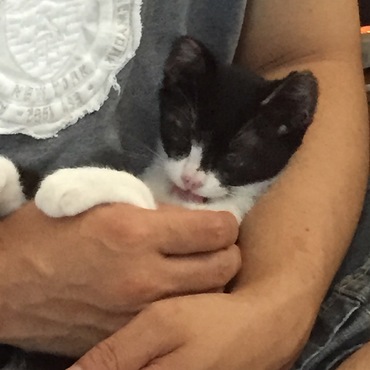 お父さんにダッコ٩(●˙▿˙●)۶