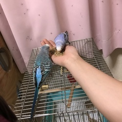 「元気でご飯」サムネイル2