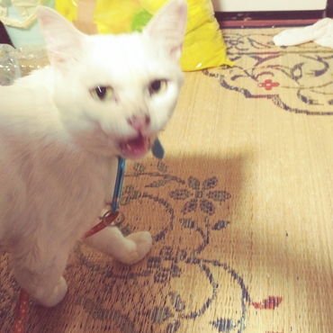 笑いかけている？