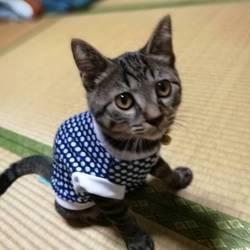 あら、イケメン？