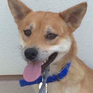 純な可愛い涼夏ちゃん！