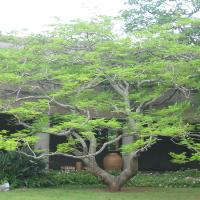 YCDなんくる倶楽部のカバー写真