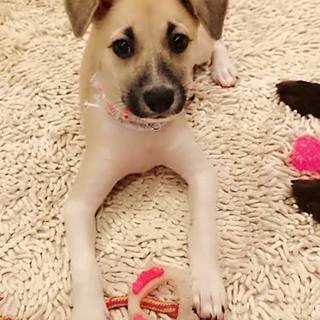 かわい〜い♡女の子♪