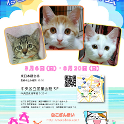 ねこざんまい譲渡会in東日本橋