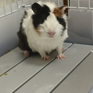 ありがとうございました！