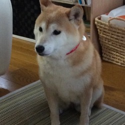 審判の日(;゜0゜)(深夜の逃走劇！その後)