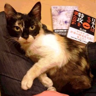 黒美ちゃん　　4歳くらいの女の子