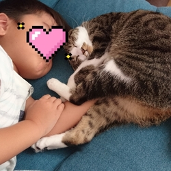 「夏バテです！ごはんさん！」サムネイル3