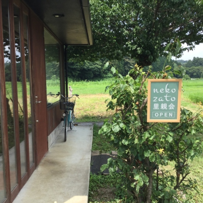 NEKOZATO里親会のカバー写真