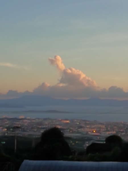 ゴジラ雲？亀雲？？」（ちょここんさんのペットログ #16481