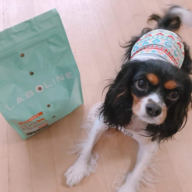 エマぷのカバー写真