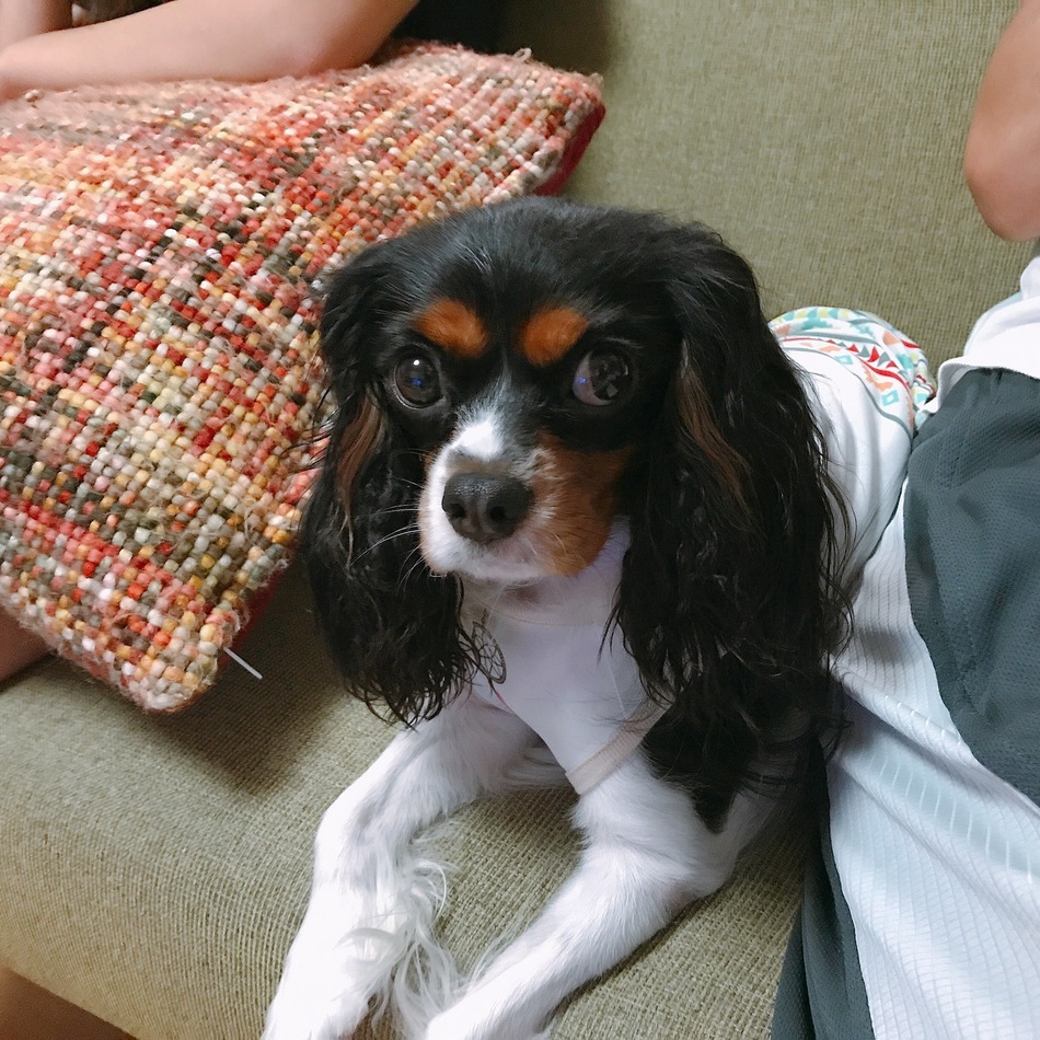 エマのカバー写真