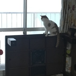 ちょっと様子を…