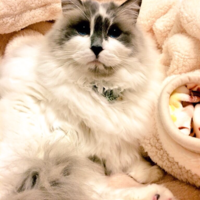 むーたん